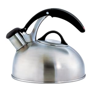 Softworks Brushed Stainless Tea Kettle