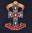 Appetite For Destruction