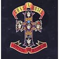 Appetite For Destruction