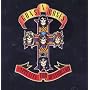 Appetite For Destruction