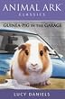 Guinea-pig in the Garage (Animal Ark Classics)