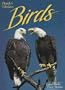 Florida's Fabulous Birds: Land Birds: Their Stories