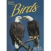 Florida's Fabulous Birds: Land Birds: Their Stories