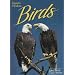 Florida's Fabulous Birds: Land Birds: Their Stories