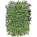 Santa Cruz Stickers - Jason Jessee Weed God - 6 inch