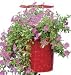 Topsy Turvy® Hummingbird Upside Down Planter - red