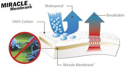AllerZip Bedding Encasement, Twin - XL, 38"x80"