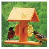 Songbird Essentials SERUBFJF Fruit Jelly Oriole Bird Feeder