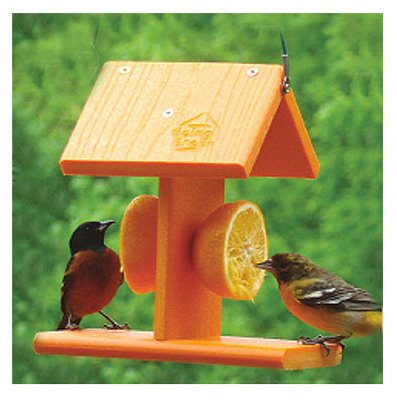 Songbird Essentials SERUBFJF Fruit Bird Feeder