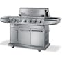 Ducane 30558401 Meridian 32" 5-Burner Natural Gas Grill