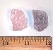 Kunzite Crystals (Pakistan) (1-1/4" - 1-1/2") - 1pc.