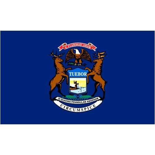 Michigan Flag 4 x 6 Feet Nylon