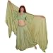Soft Green Silk Circle Skiirt