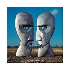 Division Bell [Vinyl LP]