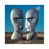 Division Bell [Vinyl LP]