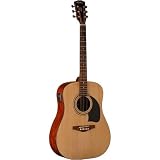 Musical Instruments : Washburn LG2TPAK LG2TPAK Lyons Acoustic Guitar with Built-in Digital Tuner
