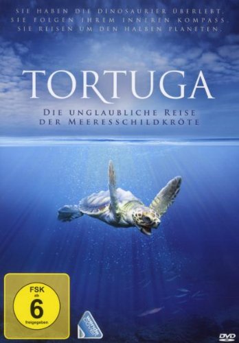 Tortuga - Die unglaubliche Reise der Meeresschildkröte