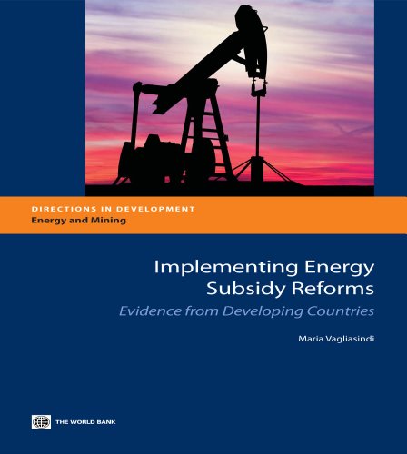 Implementing Energy Subsidy Reforms: Evidence from Developing Countries (Directions in Development)