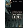 An Introduction to the Archaeology of Ancient Egypt