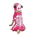 Casual Canine Glow Bones Costume, Medium