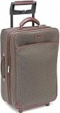 Hartmann Luggage Wings 20" Expandable Mobile Traveler