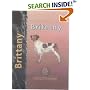 Brittany (Pet Love)