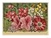 Acacia Dealbata Art Giclee Poster Print, 12x9