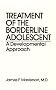 Treatment Of The Borderline Adolescent: A Developmental Approach