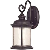 Westinghouse 6230600  New Haven One-Light Exterior Wall Lantern  on Steel with Clear Seeded Glass,  Oil Rubbed Bronze Finish