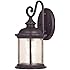 Westinghouse 6230600  New Haven One-Light Exterior Wall Lantern  on Steel with Clear Seeded Glass,  Oil Rubbed Bronze Finish