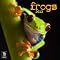 Frogs . . in 2012 Calendars !