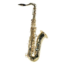 Windsor Alto Saxophone Includes Hard Case - Gold Lacquer Finish