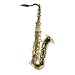 Windsor Alto Saxophone Includes Hard Case - Gold Lacquer Finish