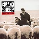 Wolf in Sheep's Clothing