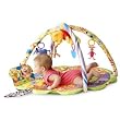 Disney Pooh Playtime Gym