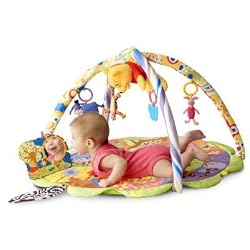 Disney Pooh Playtime Gym