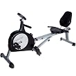 Spartan Sports 2 in 1 Recumbent Bike & Rower!