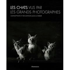 Les chats vu par les grands photographes