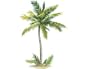 Wallies Palm Tree 43-by-65-Inch Wallpaper Mural