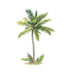  Wallies Palm Tree 43-by-65-Inch Wallpaper Mural