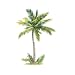Wallies Palm Tree 43-by-65-Inch Wallpaper Mural