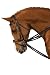 Kincade Leather Draw Reins - Brown, 1x95