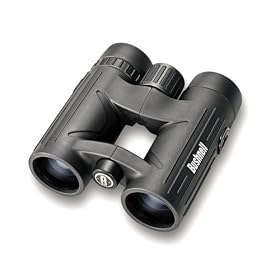 Click here to buy Bushnell 243608 8 x 36 Excursion EX Binocular by Bushnell.