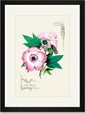Black Framed/Matted Print 17x23, Pink Hibiscus