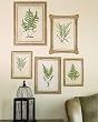 Wallies Fern Prints Botanical Wallpaper Wall Mural