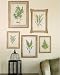 Fern Prints Wall Mural Set