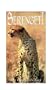Tales of Serengeti: Cheetah's Tale [VHS]