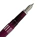 Noodler's Ink Nib Creaper Standard Flex Fountain Pen - King Philip Purple
