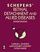 Schepens's Retinal Detachment and Allied Diseases