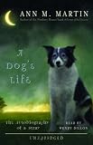 A Dog's Life: The Autobiography Of A Stray